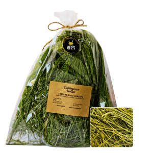 Suszone ziele skrzypu polnego/ Piękna sierść