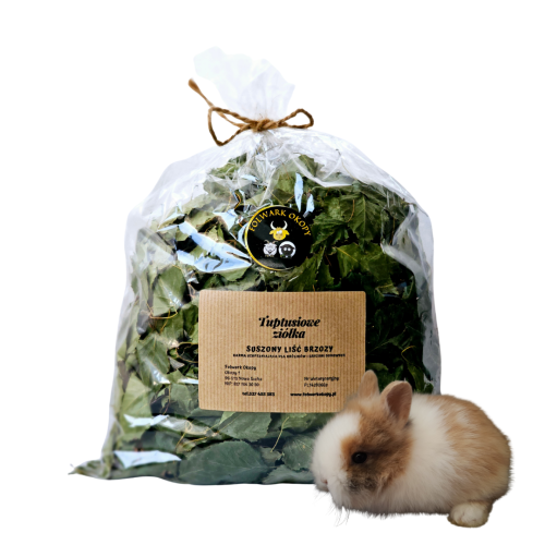 liść brzozy dla królika