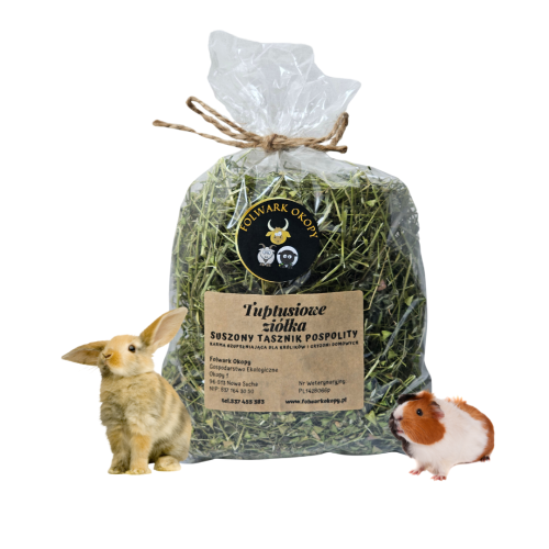 Kopia Beżowy i Szary Minimalistyczny Cytat Post na Instagram(78).png