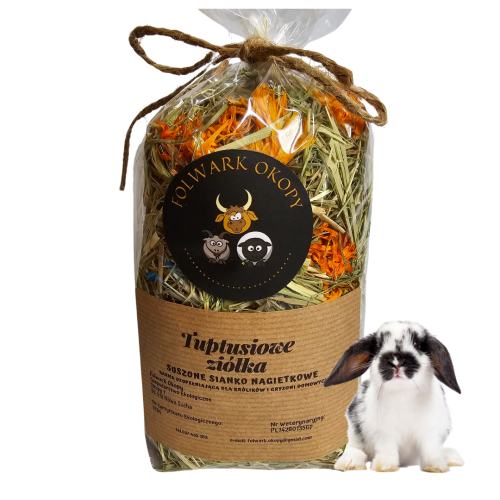 Kopia Beżowy i Szary Minimalistyczny Cytat Post na Instagram(91).png