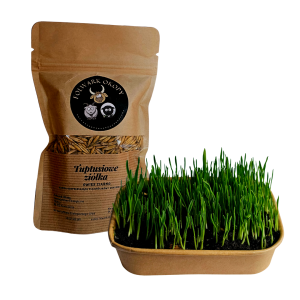 Ziarno owsa na zieloną trawkę 200g dla królika i gryzonia