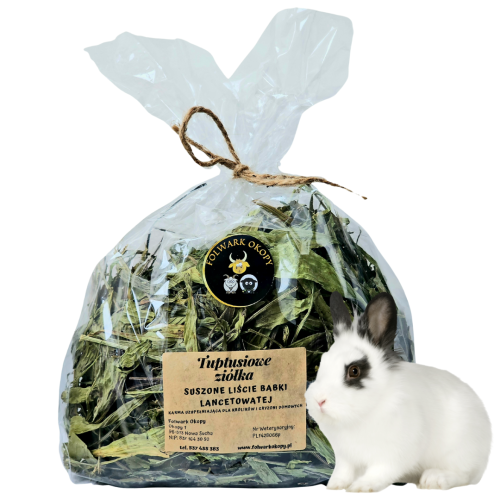 Kopia Beżowy i Szary Minimalistyczny Cytat Post na Instagram(69).png