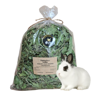 Suszone liście mniszka lekarskiego dla królika/ Anemia
