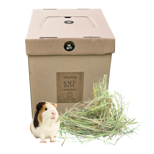 SAFEBOX z sianem 2kg dla świnki morskiej