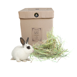 SAFEBOX z sianem 2 kg dla królika