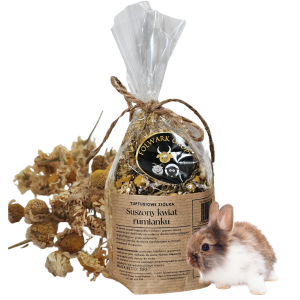 Kwiat rumianku dla królika/Uspokaja