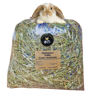 Siano chabrowe- odpylone - pierwszy pokos / Wzmocnienie odporności