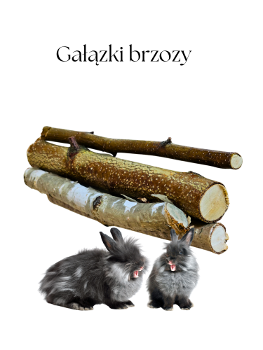 Gałązki brzozy.