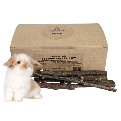 gałązki lipy(2).png