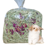 siano różane(13).png