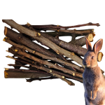 Gryzobox jabłoń / Zdrowa jama ustna