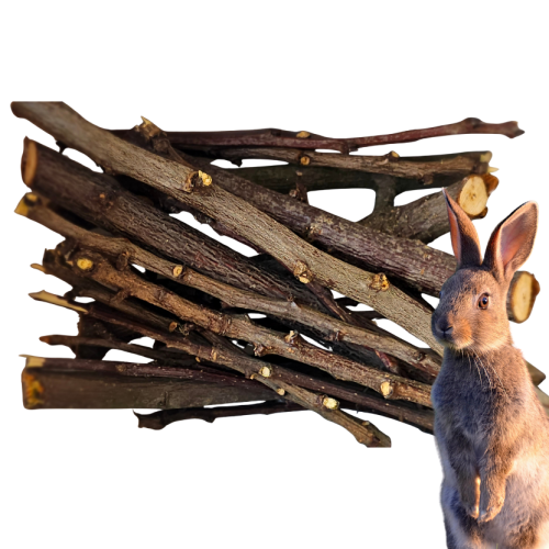 gałązki jabłoni.png