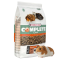 verse laga cavia.png