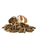 verse-laga cavia.png