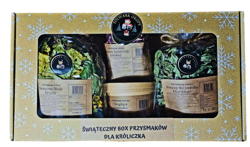 Projekt bez nazwy(55).png