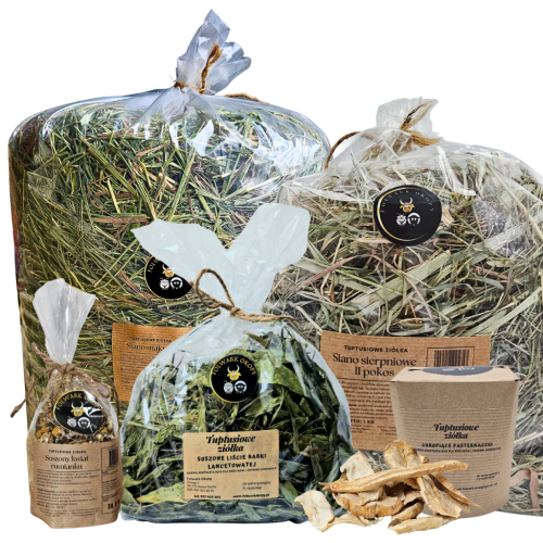 Zdrowy brzuszek(1).png