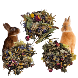 Ciasteczka urodzinowe - ziołowe, naturalne dla królika i gryzonia