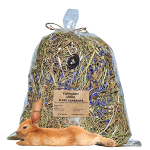 Siano chabrowe - odpylone z  kwiatem chabra bławatka dla królika