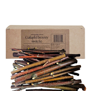 Świeże gałązki brzozy 100g dla królika - ścieranie zębów