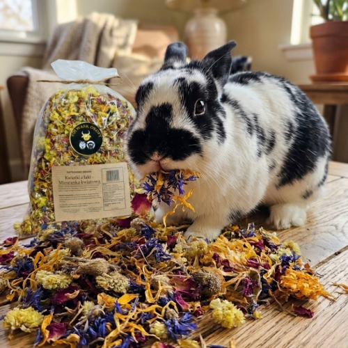 mieszanka kwiatowa dla królików i gryzoni