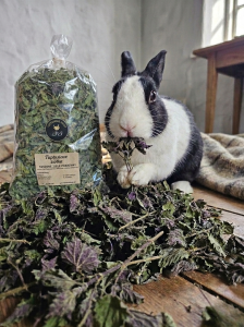 Suszona pokrzywa dla królika/ Wzmacnia odporność/ ZBIÓR 2026 r.