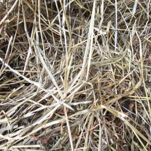Siano z pierwszego pokosu dla królika i gryzonia 2 kg słomiaste