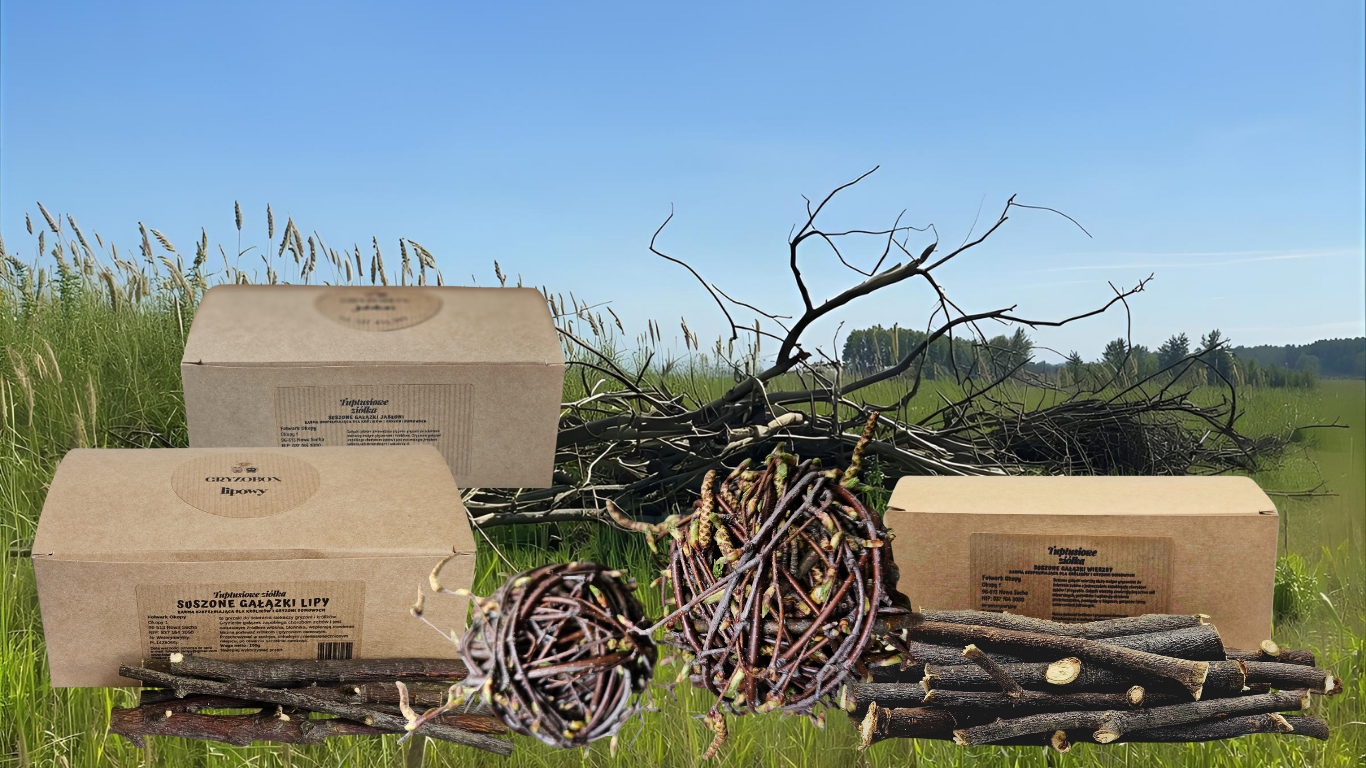 Gryzobox Folwark Okopy