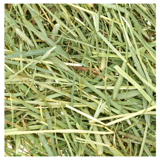 Ile siana dziennie powinien zjeść królik?