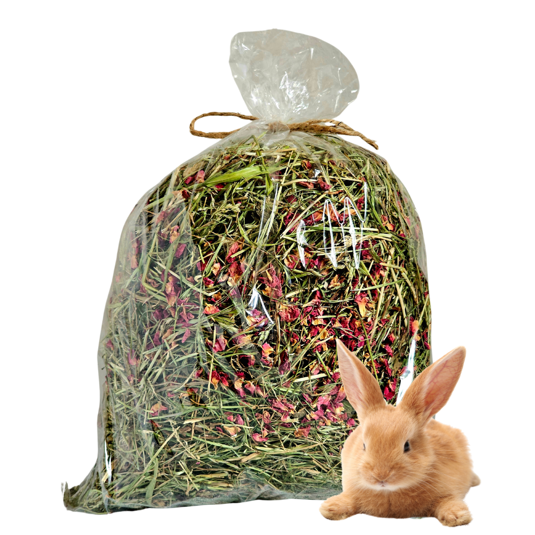 Dlaczego warto podawać siano różane królikom i gryzoniom?